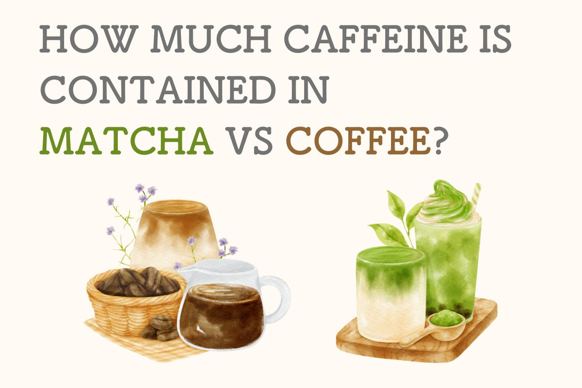 How Much Caffeine is Contained in Matcha vs Coffee? – MATCHA DIRECT