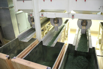 Part 4 - Refining Matcha: The Finishing of Tencha