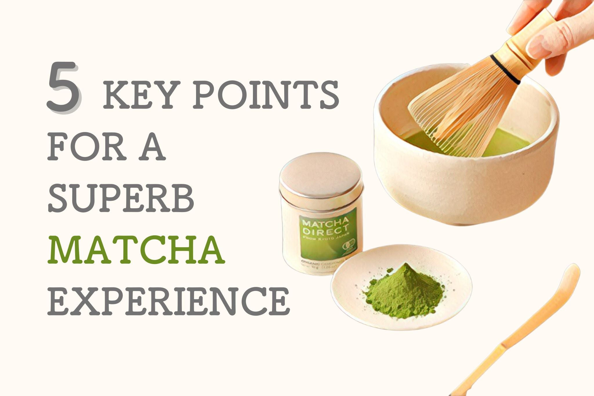 Good Matcha Powder: 5 Key Points for a Superb Matcha Experience