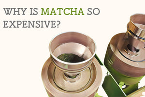 Why Is Matcha So Expensive?