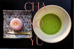 The Japanese Tea Ceremony: A Guide to Cha No Yu