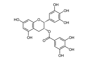 EGCG and Catechin in Matcha