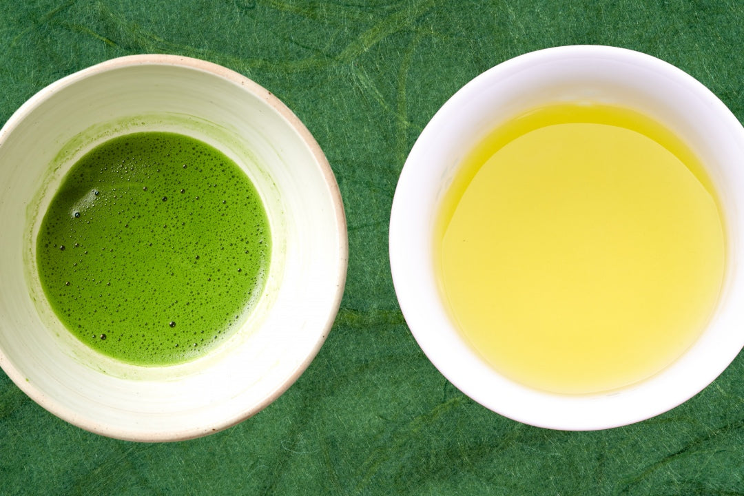 Matcha vs Sencha : What is the Difference?