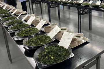 Matcha Distribution & Logistics Glossary