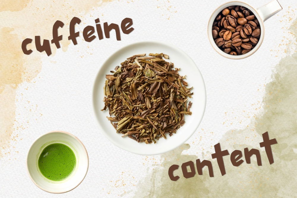 How much caffeine is in hojicha vs matcha and coffee?