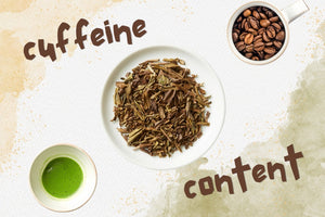 How much caffeine is in hojicha vs matcha and coffee?