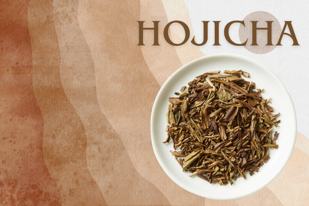 What is Hojicha? : Japanese Roasted Green Tea