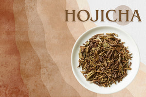 What is Hojicha? : Japanese Roasted Green Tea