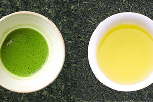 Matcha vs. Green Tea - What's the Difference?