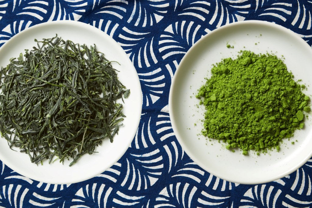 Matcha vs. Gyokuro: What’s the Difference?