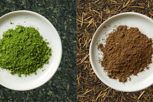 Hojicha vs. Matcha: What’s the Difference?