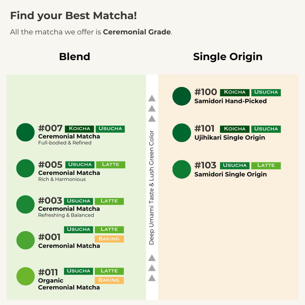 Find your Best Matcha! - Exciting Update: Discover Our Latest Matcha Selections